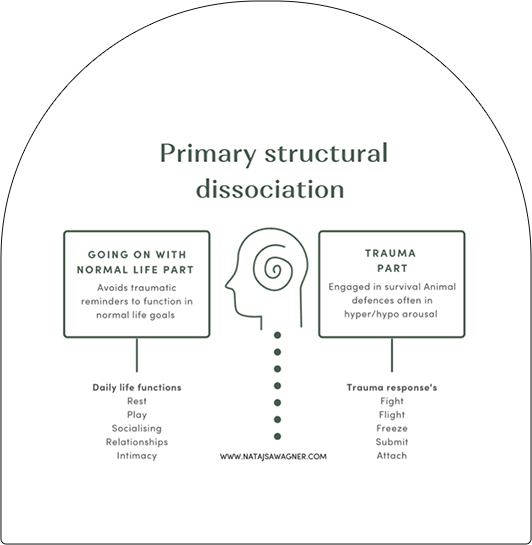 A diagram of the primary structural dissociation.